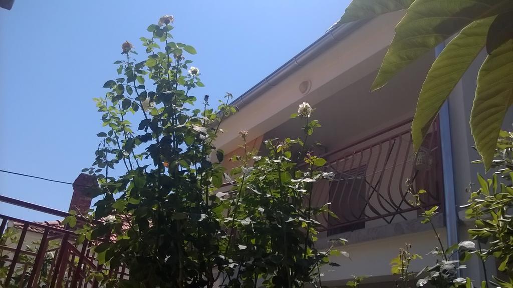 Apartment Cvita บีโอกราดนาโมรู ห้อง รูปภาพ